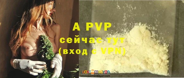круглые Абаза
