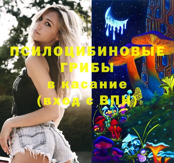 2c-b Абинск